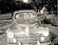 car-princess3-1954
